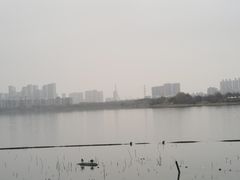 -金银湖国家城市湿地公园
