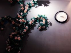 -109美发沙龙
