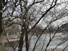 -承德避暑山庄景区