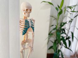 -加帕瑜伽培训学院