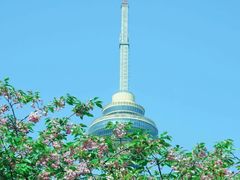 -中央广播电视塔