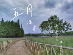 -艾溪湖湿地公园