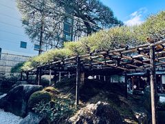 -中村藤吉(本店)