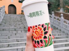 -鸡鸣赐茶(鸡鸣寺路店)