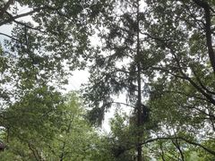-巴倒烫陆派重庆火锅(南山店)