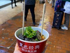 -黑色经典臭豆腐·湖南特产(坡子街店)