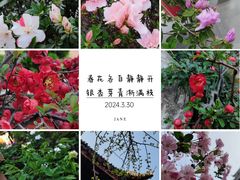 -龙华寺