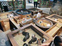 -酷嗒动物文化乐园(cutezoo西溪乐天城店)