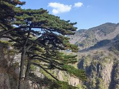 -黄山风景区