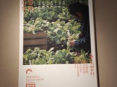 -佬肥猫(国华广场店)