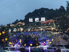 -枇杷园食为鲜火锅(南山店)