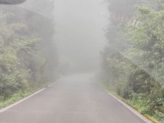 -武陵山森林公园