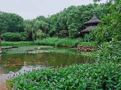 -天目湖山水园