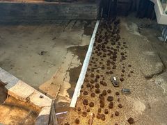 -元代水闸遗址博物馆