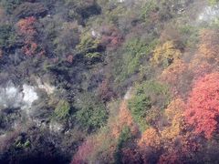 -少华山国家森林公园