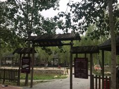 -杨柳青庄园