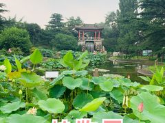 -国家植物园南园