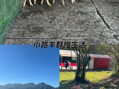 -神农架景区