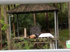 -广州长隆野生动物世界