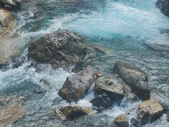 -西岭雪山大飞水景区