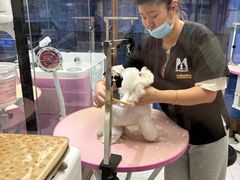 -FAELING PETS美天灵宠物(富力广场店)