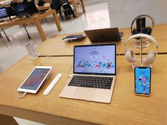-Apple零售店(济南恒隆广场店)