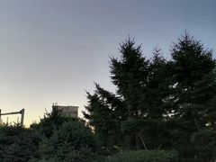 -保利·罗兰香谷