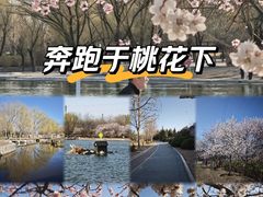 -太阳宫公园