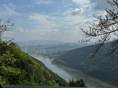 -铁山坪森林公园