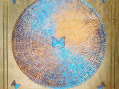 -上海昆虫博物馆