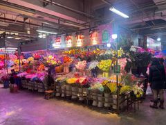 -花鸟鱼虫鲜花绿植市场(玉泉路店)