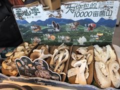 -芸山季·云南山珍菌火锅(南翔印象城MEGA店)