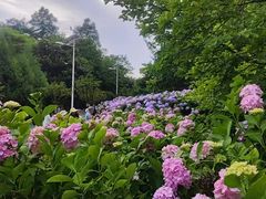 -观山湖公园