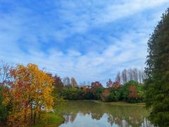 -上海海湾国家森林公园