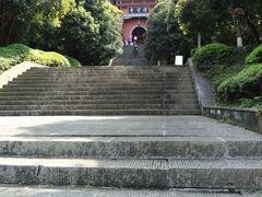 -铁山坪森林公园