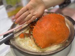 -龙海鲜螃蟹王(宏茂桥店)
