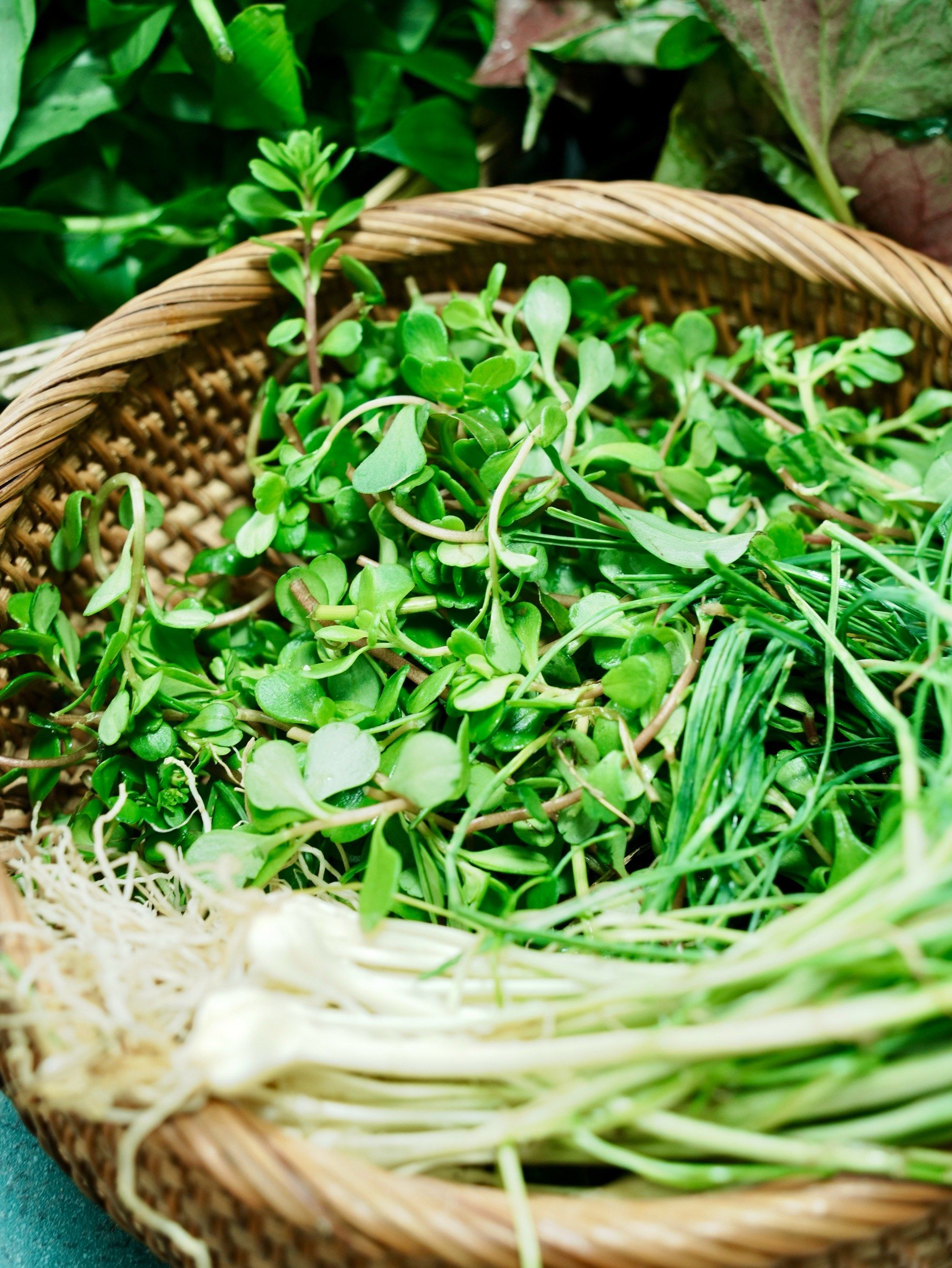 清明至 食野菜