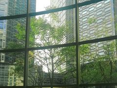 -Plush大堂酒廊(北京金融街威斯汀大酒店)
