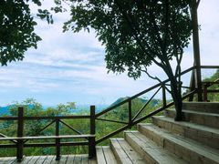 -大岭沟猕猴桃谷风景区