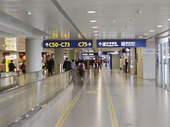 -上海浦东国际机场-T2航站楼