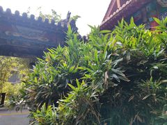 -碑林公园