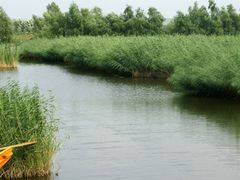 -白渔泡湿地公园