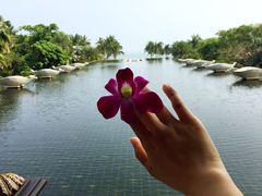 -亚龙湾喜来登·美景台大堂吧