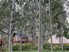 -朝阳公园游乐园