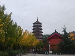 -金城公园