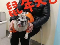 -希望动物医院(汉阳院)