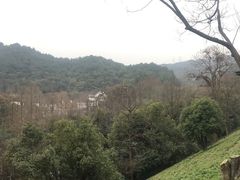 -西湖风景区-江洋畈生态公园