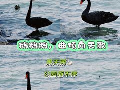 -颐和园