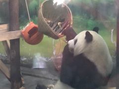 -无锡动物园·太湖欢乐园