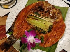 -紫滇源云南生态菜(丹凤街店)